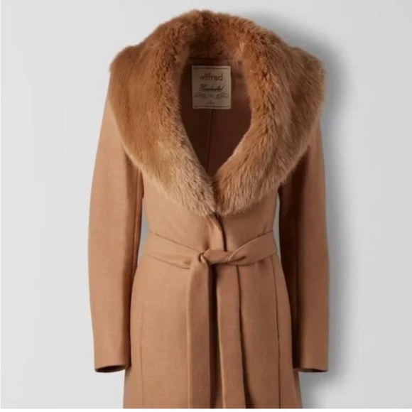 ✨Aritzia✨ Waldorf Wool Coat - Picture 5 of 6